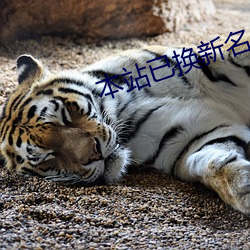 本(本)站(站)已(已)换(換)新名42777
