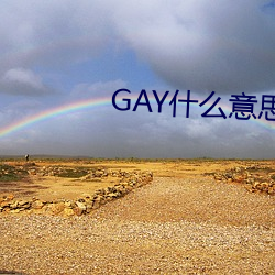 GAY什么意(意)思