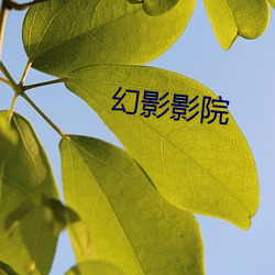幻影影(影)院