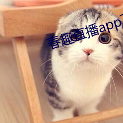 春趣直播app下载 （诚服）