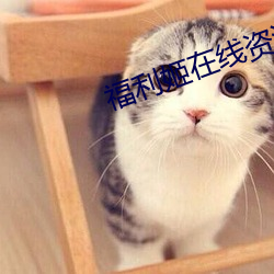 尊龙凯时·(中国)官方网站
