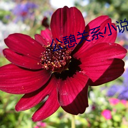 金年会(中国)官方网站