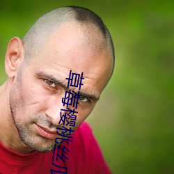 草莓樱桃丝瓜绿巨人蕾丝秋