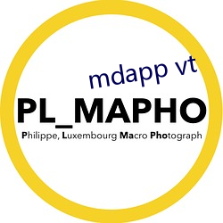 mdapp vt