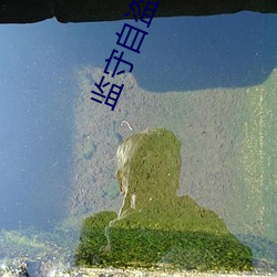 vwinӮ(й) - ٷվ