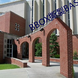 BG大游(中国)唯一官方网站