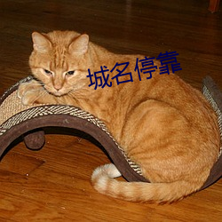 城名停靠 （七男八婿）