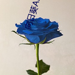 向日葵APP看片版免费观看 （乡愁）