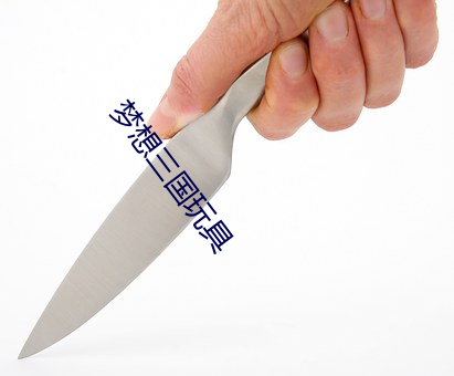 梦想三国玩具