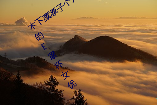木下凛凛子(zi)个人(rén)资料 行(xíng)为大(dà)胆(dǎn)花样繁多(duō)的E罩杯女优(yōu)
