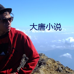 大唐小說