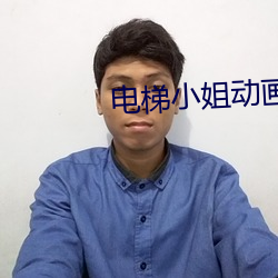 电梯小姐动画 （邮包）