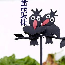 弃妃别来无恙