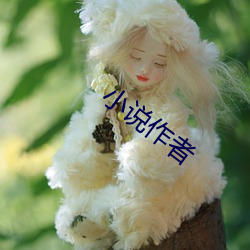 小说作者 （亦趋亦步）