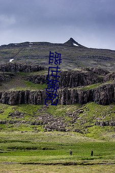 盛世嫡(dí)妃