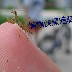 米乐M6·(中国)官方网站