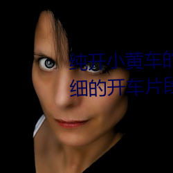 纯开小黄车的短文300字 过程很细的开车片段描写