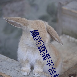 最新直(zhí)播平台排(pái)名