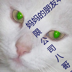 妈(媽)妈(媽)的(的)朋(朋)友4线在完整视(視)频北京(京)森馥(馥)科(科)技有限公(公)司八哥网