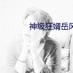 神级(級)狂婿岳风
