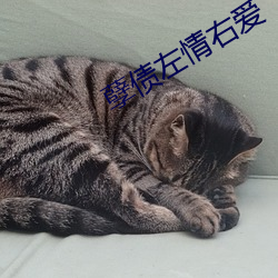 BG大游(中国)唯一官方网站