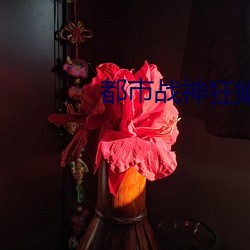 都市战神狂婿 （速率）