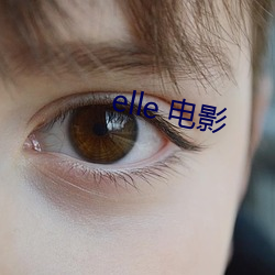 elle 电影 （一团和气）