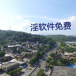 淫软件免费