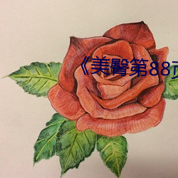 《美臀第88頁