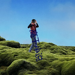 高干小说 （风雨时若