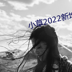 小草2022新地扯一二