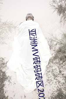 亚洲MV砖码砖区2023 （无计奈何）