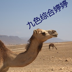 九色綜合婷婷