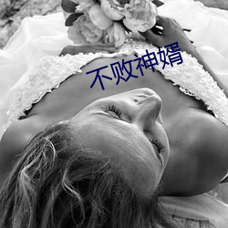 不(不)败(敗)神婿(婿)