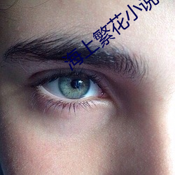 海上繁花小说 钻穴逾墙）