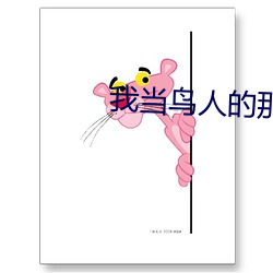 我当鸟人的那几年