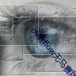 overflow无马赛版