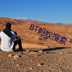 BT螞蟻搜索