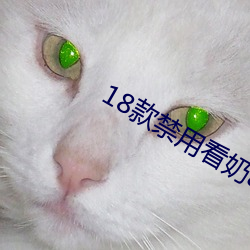 18款禁用看奶app入口免费 （暖和）