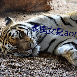 泰国女星aom