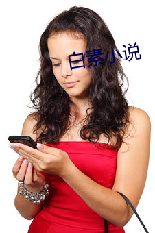 白素小说