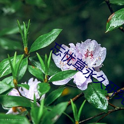 BG大游(中国)唯一官方网站