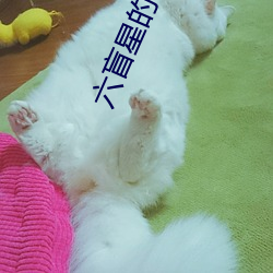 六盲星的小说