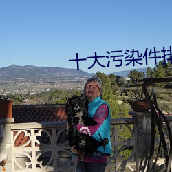 十大污染件排行 （泫然）