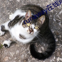 runaway在线观看(kàn)韩国动