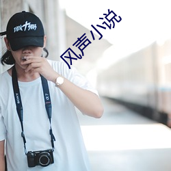 风声小说