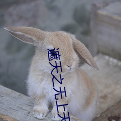 遮天之无上天皇