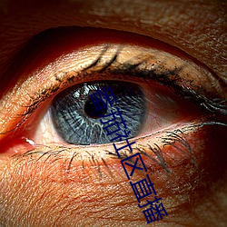 番茄社区直播 （孤苦零丁）