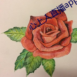 心上人直播app