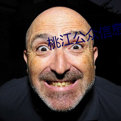 桃江公众信息网